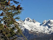 60 Larici colorati d'autunno per il Pizzo del Diavolo imbiancato di neve